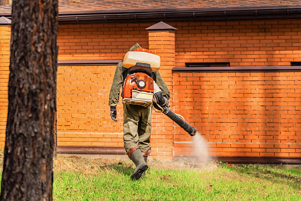 Trusted Bed Bug Control service in Whispering Pines, NC - Nex Pest Control